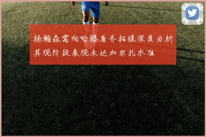 杨瀚森需向哈滕看齐拓媒深度分析其现阶段表现未达加尔扎水准