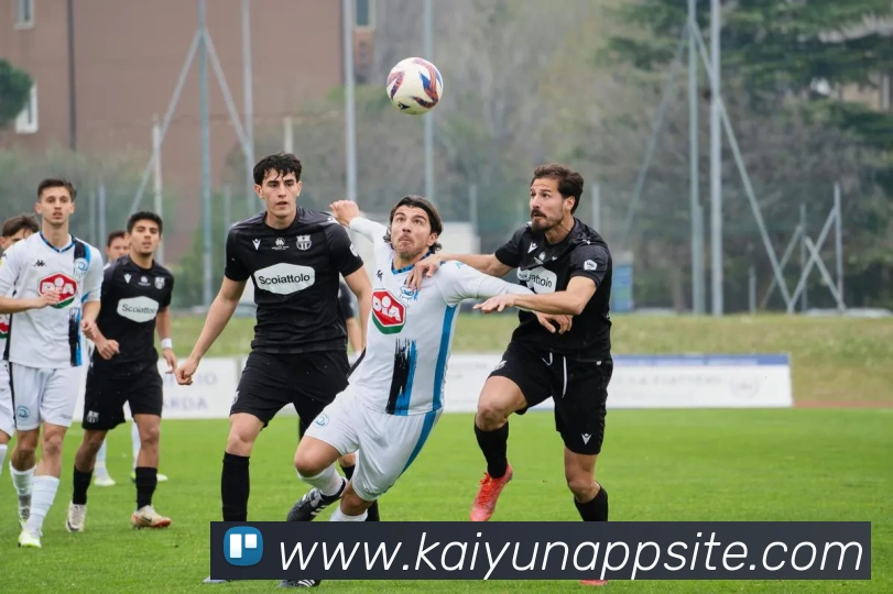 App Interface Preview