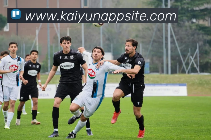 多媒体互动体验