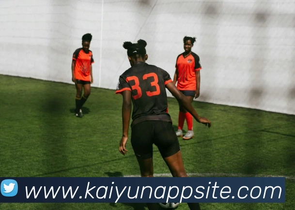 开云体育APP 封面图